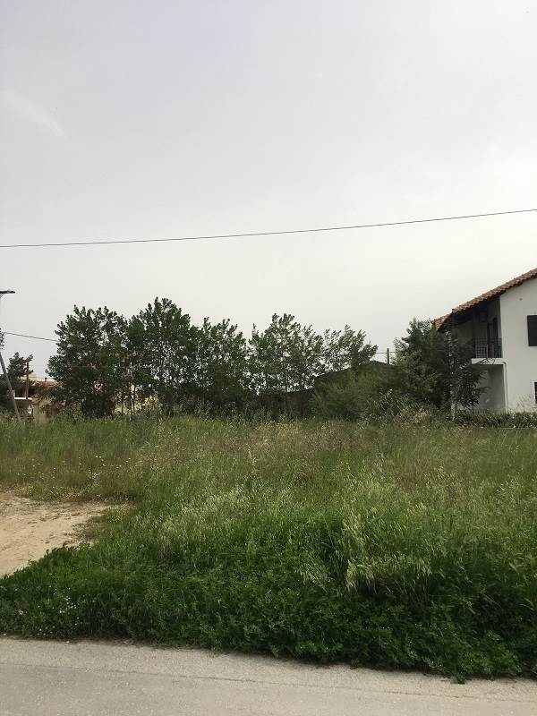 (For Sale) Land Plot out of City plans || Evoia/Chalkida - 288 Sq.m, 50.000€ 