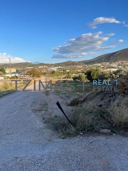 (For Sale) Land Plot for development || Evoia/Nea Artaki - 900 Sq.m, 70.000€ 