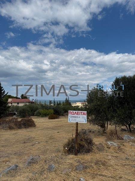 (Προς Πώληση) Αξιοποιήσιμη Γη Οικόπεδο || Ν. Εύβοιας/Χαλκίδα - 708 τ.μ, 88.500€ 
