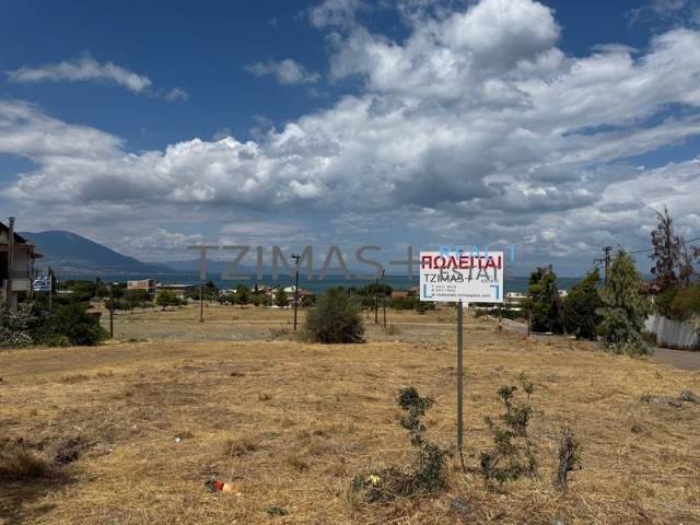 (Προς Πώληση) Αξιοποιήσιμη Γη Οικόπεδο || Ν. Εύβοιας/Χαλκίδα - 670 τ.μ, 84.000€ 