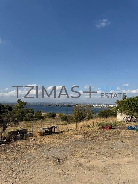 (For Sale) Land Plot || Evoia/Lilantio - 1.017 Sq.m, 180.000€ 