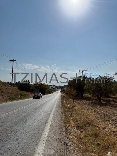 (For Sale) Land Agricultural Land  || Evoia/Lilantio - 2.300 Sq.m, 40.000€ 