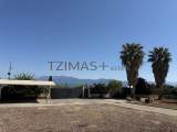 slide1 thumbnail