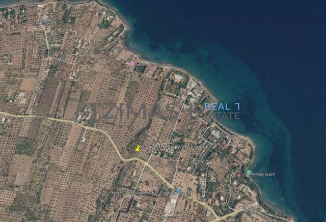 (Προς Πώληση) Αξιοποιήσιμη Γη Οικόπεδο εκτός οικισμού || Ν. Εύβοιας/Ανθηδώνα - 4.800 τ.μ, 100.000€ 